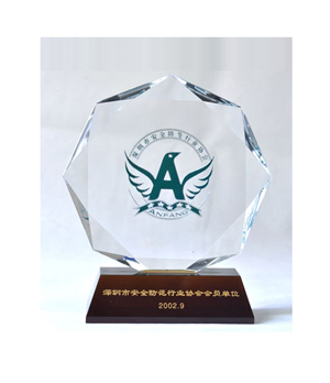 深圳市安全防范行业协会会员单位